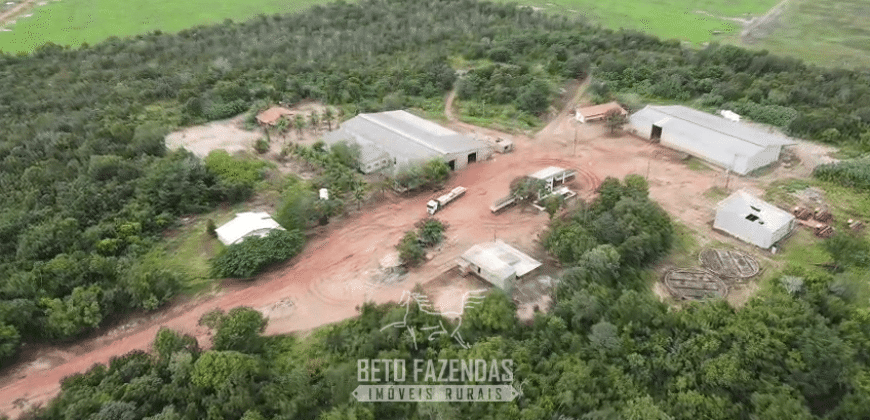 Fazenda à Venda 12.000 Hectares Dupla Aptidão Excelente Oportunidade | Colinas do Tocantins/TO