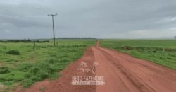 Fazenda à Venda 12.000 Hectares Dupla Aptidão Excelente Oportunidade | Colinas do Tocantins/TO