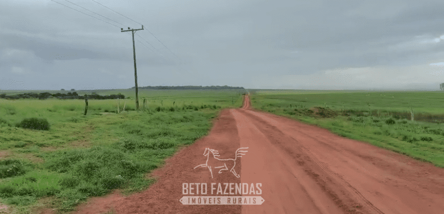 Fazenda à Venda 12.000 Hectares Dupla Aptidão Excelente Oportunidade | Colinas do Tocantins/TO