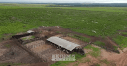 Fazenda à Venda 12.000 Hectares Dupla Aptidão Excelente Oportunidade | Colinas do Tocantins/TO