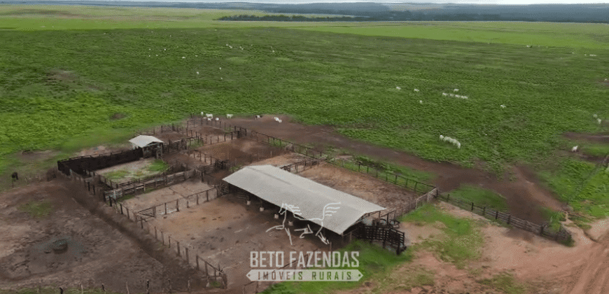 Fazenda à Venda 12.000 Hectares Dupla Aptidão Excelente Oportunidade | Colinas do Tocantins/TO