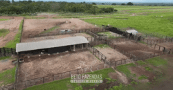 Fazenda à Venda 12.000 Hectares Dupla Aptidão Excelente Oportunidade | Colinas do Tocantins/TO