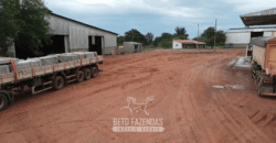 Fazenda à Venda 12.000 Hectares Dupla Aptidão Excelente Oportunidade | Colinas do Tocantins/TO