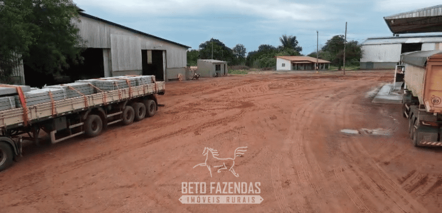 Fazenda à Venda 12.000 Hectares Dupla Aptidão Excelente Oportunidade | Colinas do Tocantins/TO