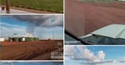 Fazenda de Soja à Venda 62.000 hectares no Coração do Matopiba Baixa Grande do Ribeiro/ PI Fazenda de Soja à Venda 62.000 hectares no Coração do Matopiba Baixa Grande do Ribeiro/ PI