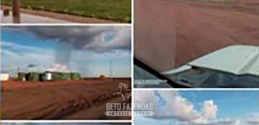 Fazenda de Soja à Venda 62.000 hectares no Coração do Matopiba Baixa Grande do Ribeiro/ PI Fazenda de Soja à Venda 62.000 hectares no Coração do Matopiba Baixa Grande do Ribeiro/ PI