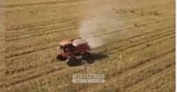 Fazenda de Soja à Venda 62.000 hectares no Coração do Matopiba Baixa Grande do Ribeiro/ PI Fazenda de Soja à Venda 62.000 hectares no Coração do Matopiba Baixa Grande do Ribeiro/ PI