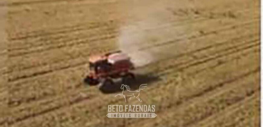 Fazenda de Soja à Venda 62.000 hectares no Coração do Matopiba Baixa Grande do Ribeiro/ PI Fazenda de Soja à Venda 62.000 hectares no Coração do Matopiba Baixa Grande do Ribeiro/ PI