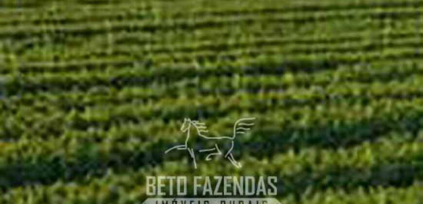 Fazenda de Soja à Venda 62.000 hectares no Coração do Matopiba Baixa Grande do Ribeiro/ PI Fazenda de Soja à Venda 62.000 hectares no Coração do Matopiba Baixa Grande do Ribeiro/ PI