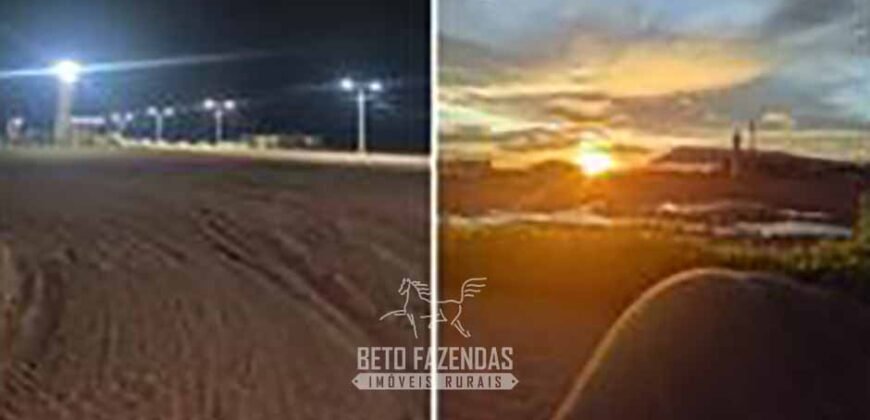 Fazenda de Soja à Venda 62.000 hectares no Coração do Matopiba Baixa Grande do Ribeiro/ PI Fazenda de Soja à Venda 62.000 hectares no Coração do Matopiba Baixa Grande do Ribeiro/ PI