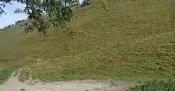 Fazenda à Venda 194 Hectares com Curral e Pastos p/ Pecuária | Trajano de Morais/RJ