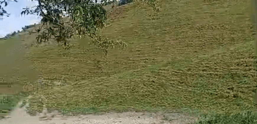 Fazenda à Venda 194 Hectares com Curral e Pastos p/ Pecuária | Trajano de Morais/RJ