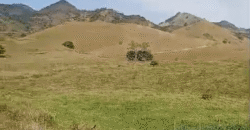 Fazenda à Venda 194 Hectares com Curral e Pastos p/ Pecuária | Trajano de Morais/RJ