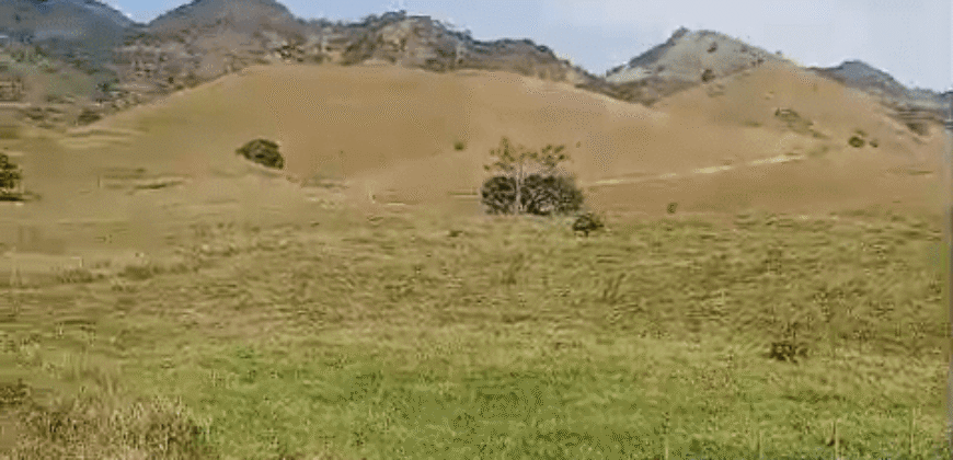 Fazenda à Venda 194 Hectares com Curral e Pastos p/ Pecuária | Trajano de Morais/RJ