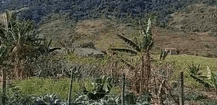 Fazenda à Venda 194 Hectares com Curral e Pastos p/ Pecuária | Trajano de Morais/RJ