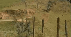 Fazenda à Venda 194 Hectares com Curral e Pastos p/ Pecuária | Trajano de Morais/RJ
