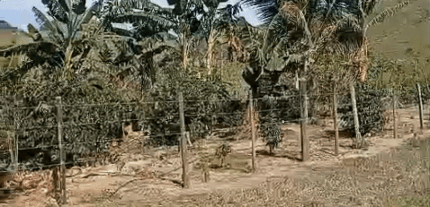 Fazenda à Venda 194 Hectares com Curral e Pastos p/ Pecuária | Trajano de Morais/RJ