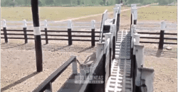 Fazenda à Venda 6.872 Hectares Total Infraestrutura para Agronegócio Pecuária | Tucuruí/ PA