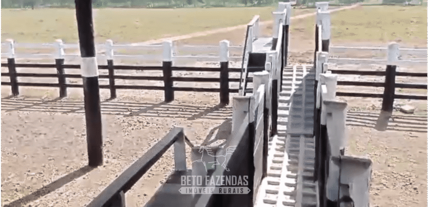 Fazenda à Venda 6.872 Hectares Total Infraestrutura para Agronegócio Pecuária | Tucuruí/ PA