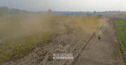 Fazenda à Venda 6.872 Hectares Total Infraestrutura para Agronegócio Pecuária | Tucuruí/ PA