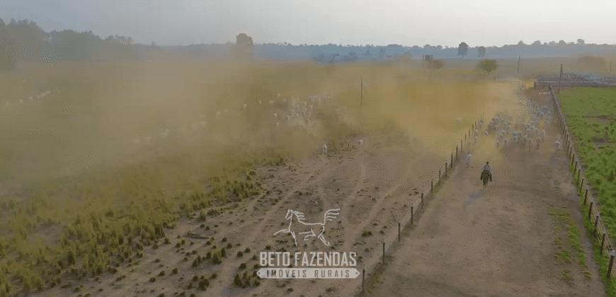 Fazenda à Venda 6.872 Hectares Total Infraestrutura para Agronegócio Pecuária | Tucuruí/ PA