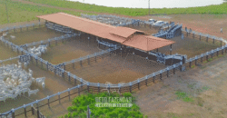 Fazenda à Venda 6.872 Hectares Total Infraestrutura para Agronegócio Pecuária | Tucuruí/ PA