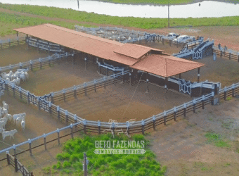 Fazenda à Venda 6.872 Hectares Total Infraestrutura para Agronegócio Pecuária | Tucuruí/ PA