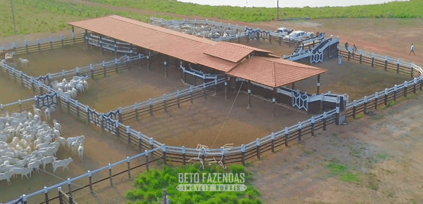 Fazenda à Venda 6.872 Hectares Total Infraestrutura para Agronegócio Pecuária | Tucuruí/ PA