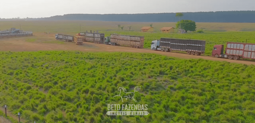 Fazenda à Venda 6.872 Hectares Total Infraestrutura para Agronegócio Pecuária | Tucuruí/ PA