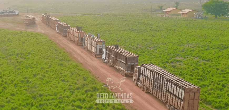 Fazenda à Venda 6.872 Hectares Total Infraestrutura para Agronegócio Pecuária | Tucuruí/ PA
