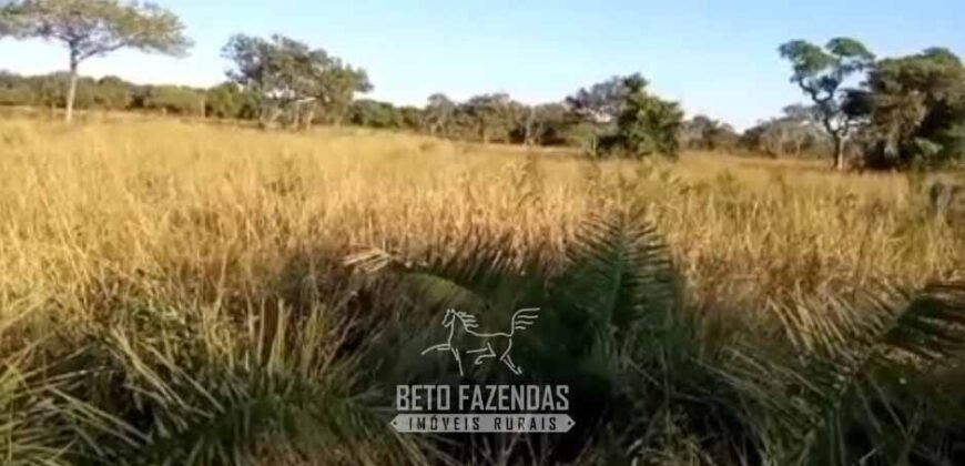 Fazenda Completa à Venda 2.500 Hectares Pecuária Toda Infraestrutura | Cocalinho/MT