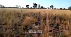 Fazenda Completa à Venda 2.500 Hectares Pecuária Toda Infraestrutura | Cocalinho/MT