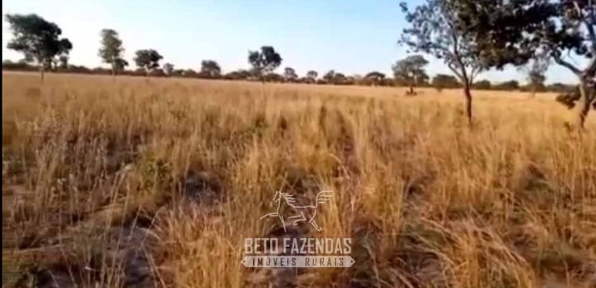 Fazenda Completa à Venda 2.500 Hectares Pecuária Toda Infraestrutura | Cocalinho/MT
