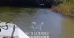 Fazenda Completa à Venda 2.500 Hectares Pecuária Toda Infraestrutura | Cocalinho/MT