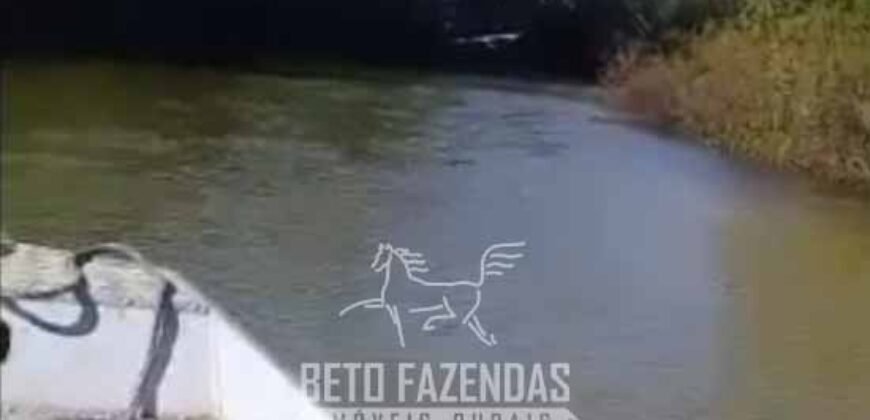 Fazenda Completa à Venda 2.500 Hectares Pecuária Toda Infraestrutura | Cocalinho/MT