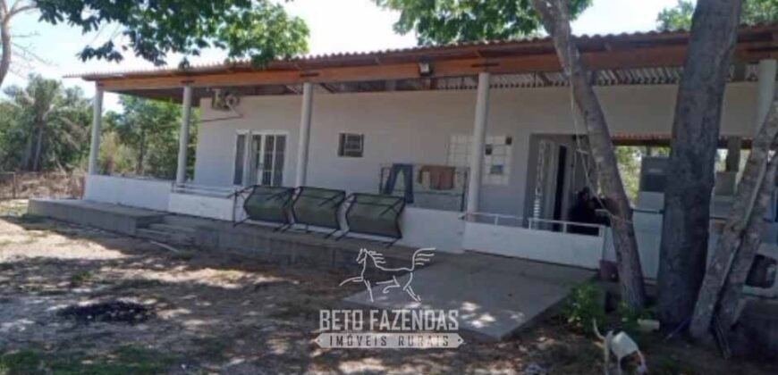 Fazenda Completa à Venda 2.500 Hectares Pecuária Toda Infraestrutura | Cocalinho/MT