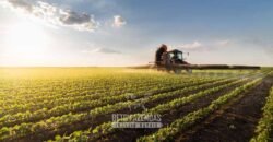 Fazenda à Venda 10.436 hectares Aptidão Produtiva c/ Pecuária Lavoura Piscicultura | Região Roraima