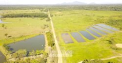 Fazenda à Venda 10.436 hectares Aptidão Produtiva c/ Pecuária Lavoura Piscicultura | Região Roraima