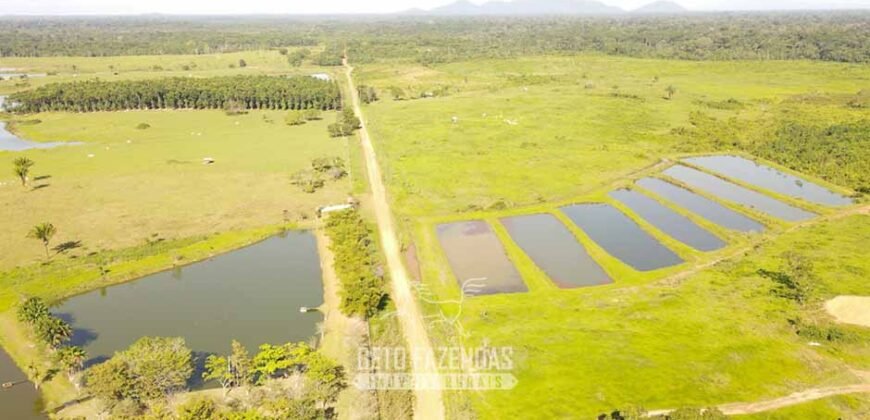 Fazenda à Venda 10.436 hectares Aptidão Produtiva c/ Pecuária Lavoura Piscicultura | Região Roraima