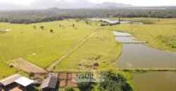 Fazenda à Venda 10.436 hectares Aptidão Produtiva c/ Pecuária Lavoura Piscicultura | Região Roraima