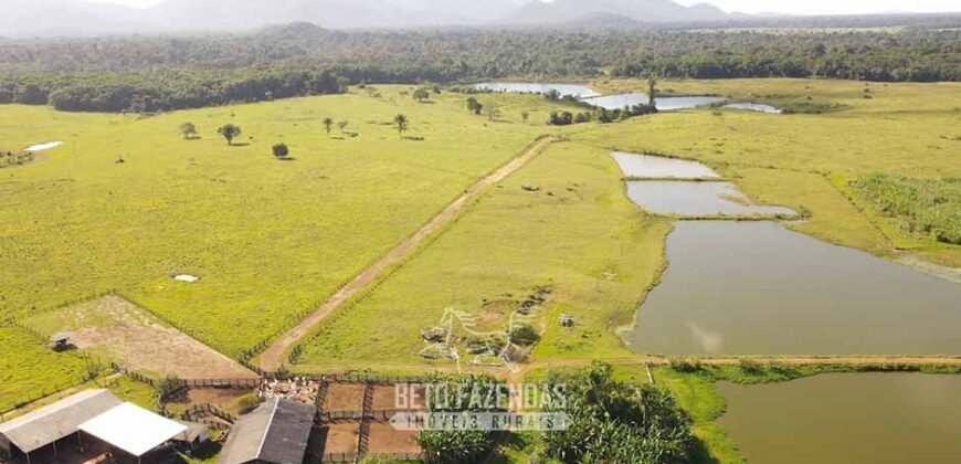 Fazenda à Venda 10.436 hectares Aptidão Produtiva c/ Pecuária Lavoura Piscicultura | Região Roraima