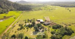 Fazenda à Venda 10.436 hectares Aptidão Produtiva c/ Pecuária Lavoura Piscicultura | Região Roraima