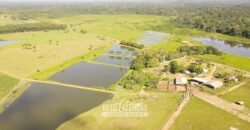 Fazenda à Venda 10.436 hectares Aptidão Produtiva c/ Pecuária Lavoura Piscicultura | Região Roraima