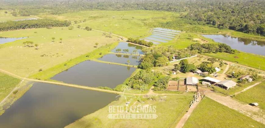 Fazenda à Venda 10.436 hectares Aptidão Produtiva c/ Pecuária Lavoura Piscicultura | Região Roraima