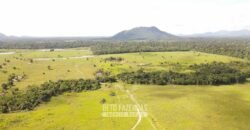 Fazenda à Venda 10.436 hectares Aptidão Produtiva c/ Pecuária Lavoura Piscicultura | Região Roraima