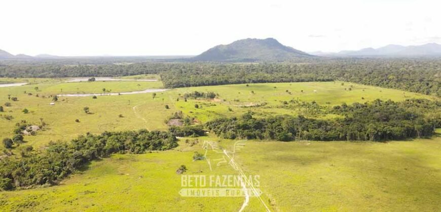 Fazenda à Venda 10.436 hectares Aptidão Produtiva c/ Pecuária Lavoura Piscicultura | Região Roraima