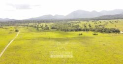 Fazenda à Venda 10.436 hectares Aptidão Produtiva c/ Pecuária Lavoura Piscicultura | Região Roraima