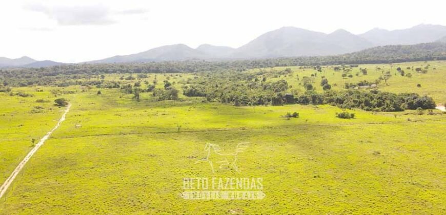 Fazenda à Venda 10.436 hectares Aptidão Produtiva c/ Pecuária Lavoura Piscicultura | Região Roraima
