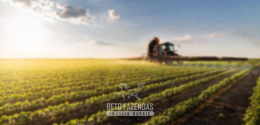 Fazenda à Venda 10.436 hectares Aptidão Produtiva c/ Pecuária Lavoura Piscicultura | Região Roraima