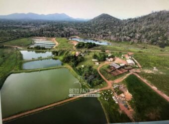 Fazenda à Venda 10.436 hectares Aptidão Produtiva c/ Pecuária Lavoura Piscicultura | Região Roraima Fazenda à Venda 10.436 hectares Aptidão Produtiva c/ Pecuária Lavoura Piscicultura | Região Roraima